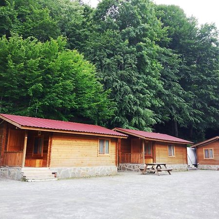 Habitat Mesire Guest House Mengen Bagian luar foto