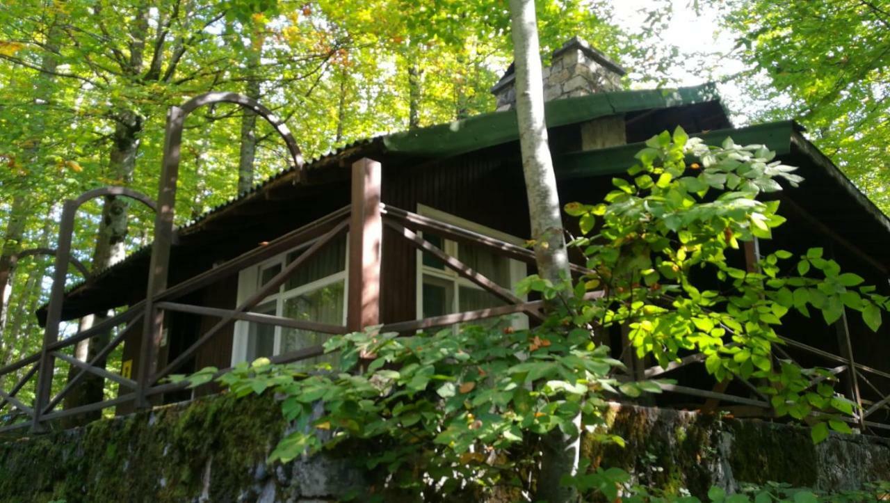 Habitat Mesire Guest House Mengen Bagian luar foto